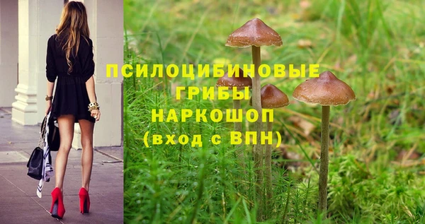 хмурый Алзамай