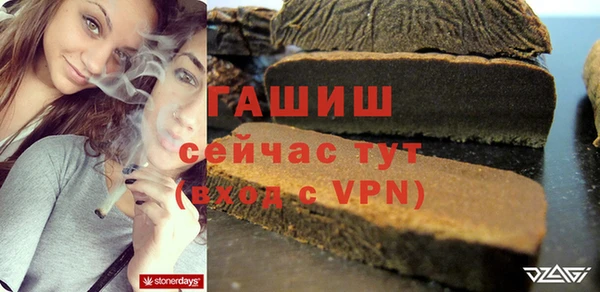хмурый Алзамай