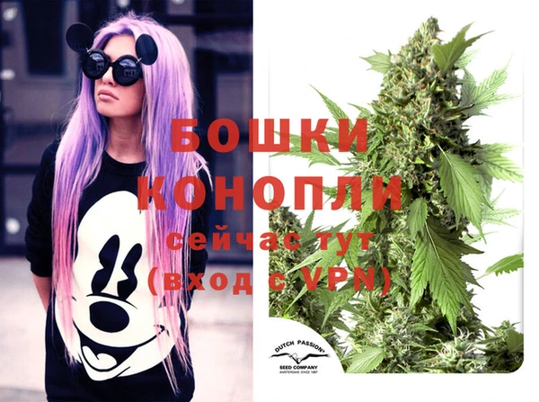 дурь Алексеевка