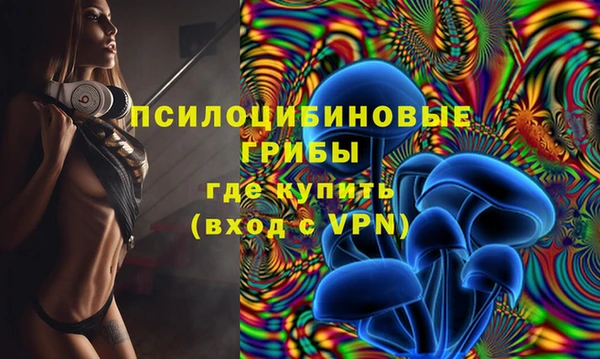 дурь Алексеевка