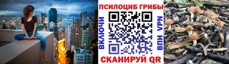 Псилоцибиновые грибы Cubensis Белозерск