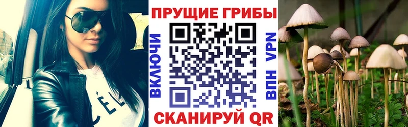 купить   Белозерск  Галлюциногенные грибы Magic Shrooms 